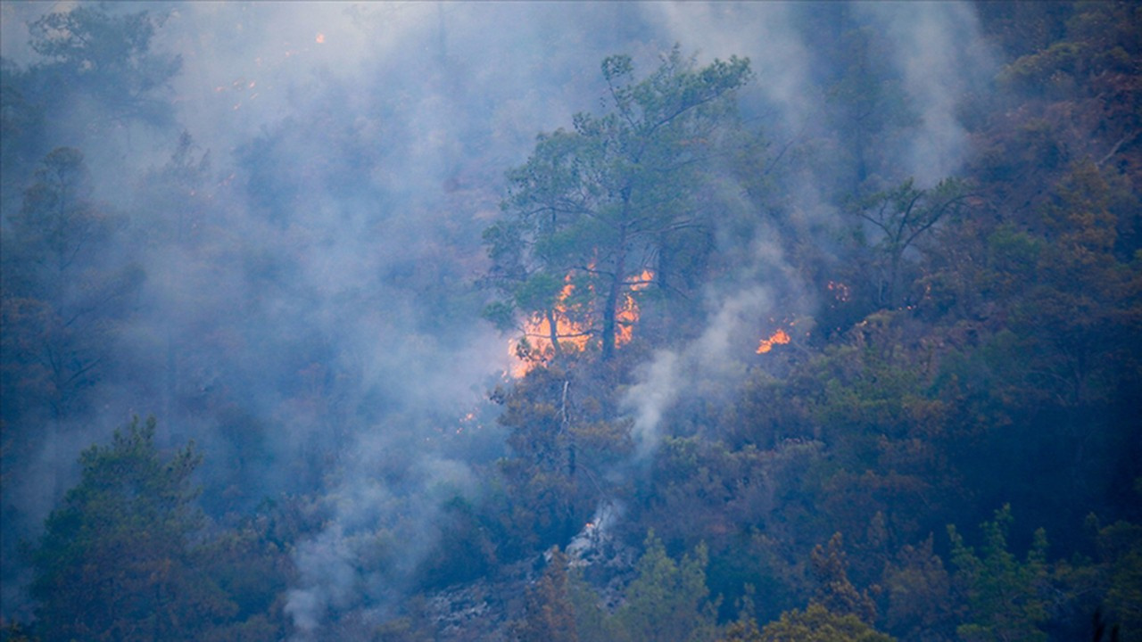 Marmaris'teki orman yangında son durum