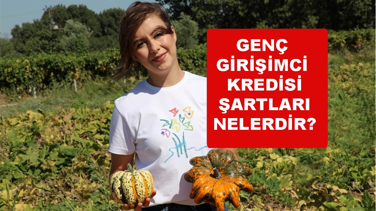 Genç Girişimci Kredisi Şartları nelerdir?