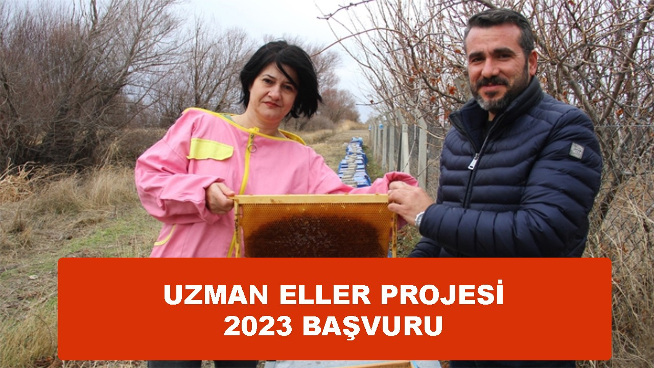 Uzman Eller Projesi 2023 başvuru tarihi belli oldu mu?