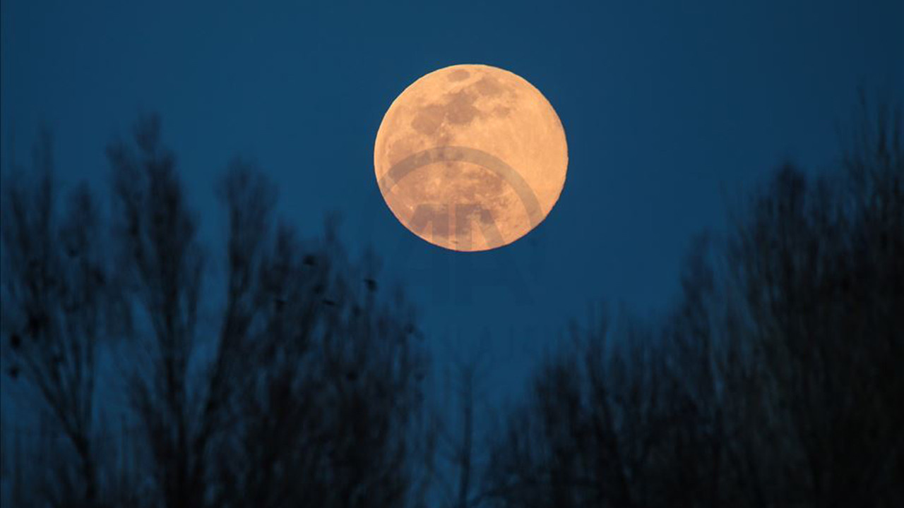 Full moon march. Покажи луну. Вид полной Луны. Полнолуние март. Сегодняшняя Луна.