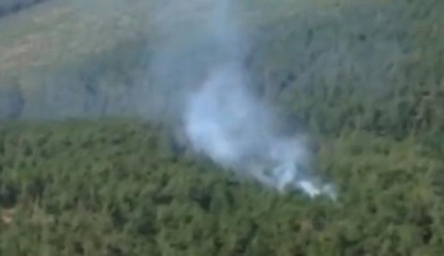Bursa'da 9 ayrı noktada orman yangını - Sayfa 1