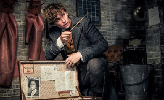 Dünya yıldızları yeni Fantastik Canavarlar filminin galasında buluştu - Sayfa 4
