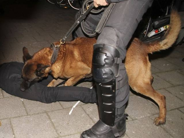 Hollanda polisi Türklere böyle saldırdı - Sayfa 1