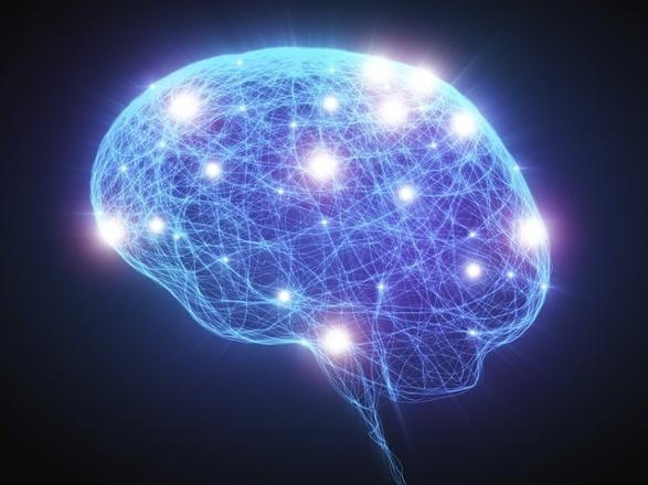 İnsan beyni ilk kez internete bağlandı - Sayfa 3