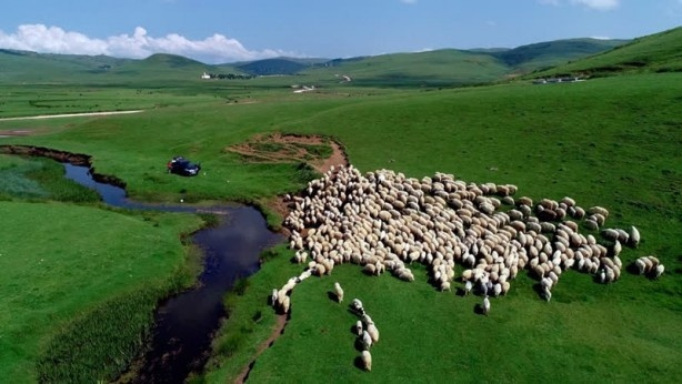 Ordu Perşembe Yaylası - Sayfa 6
