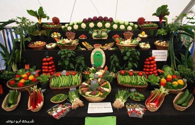 Sebze ve meyve satışını sanata çeviren ülke - Sayfa 3