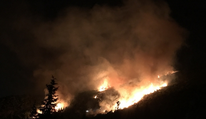 İzmir Karşıyaka'da korkutan orman yangını