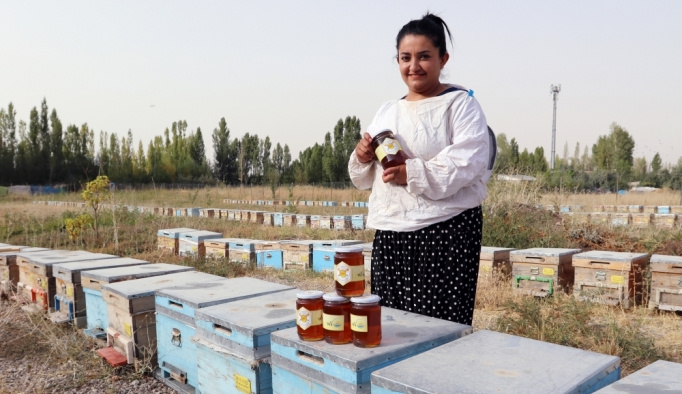 Van'da kadın arıcılar bal hasadı yaptı