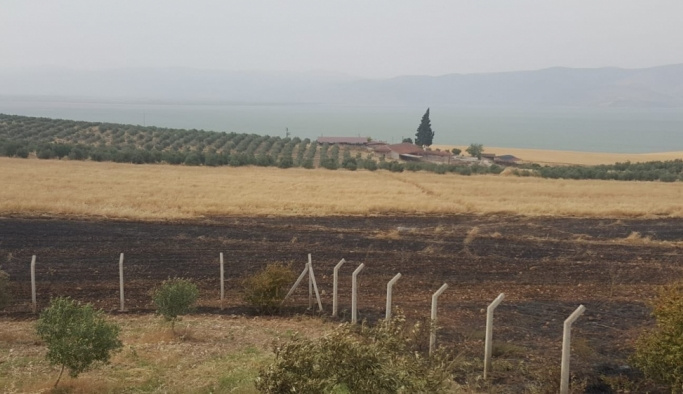Manisa'da arazi yangını