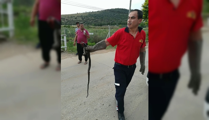 Otomobiline yılan giren sürücünün yardımına itfaiye yetişti