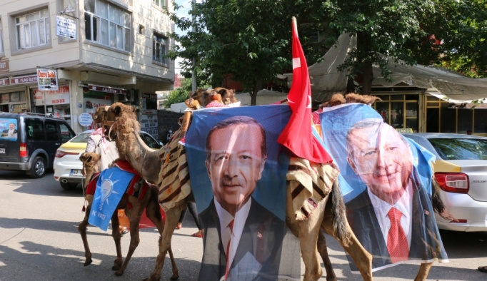 Deve yetiştiricilerinden Cumhurbaşkanı Erdoğan'a destek