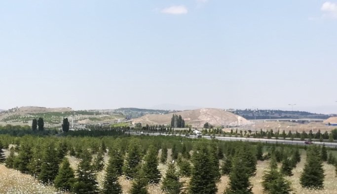 Atatürk Orman Çiftliği'nde basın mensupları için hatıra ormanı