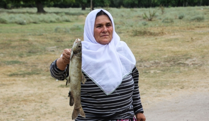 Kütahya'daki toplu balık ölümleri