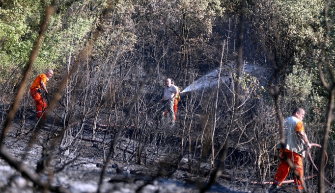 Bursa Nilüfer'de orman yangını