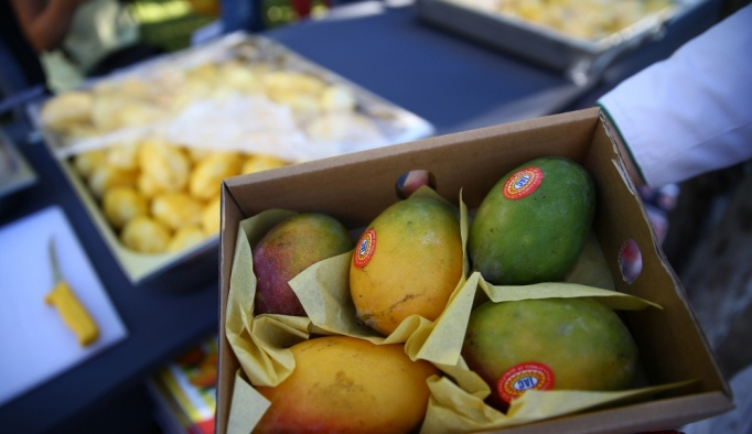 Pakistan Büyükelçiliğinden mango festivali