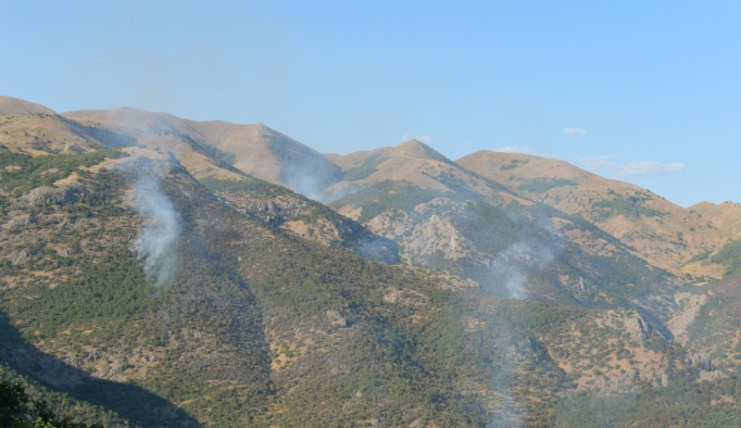 Tunceli'de ormanlık alanda yangın
