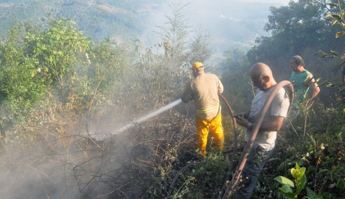 Zonguldak'ta orman yangını