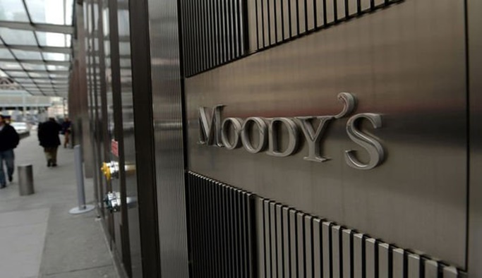 Canikli'den Moody's'e tepki: Sivrisinek vızıltısı