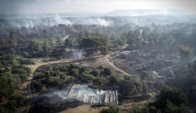 Çanakkale'deki yangın kontrol altında