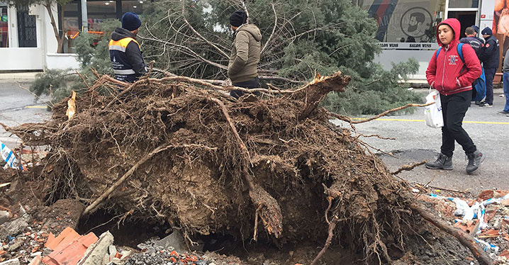 Fırtına İstanbul'da çatıları uçurdu, ağaçları devirdi